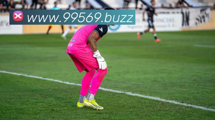 App界面